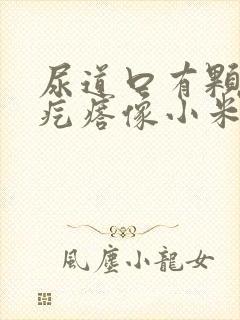 尿道口有颗粒状疙瘩像小米粒很痒封面