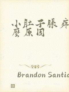 小肚子胀疼是什么原因