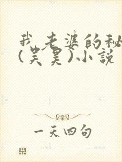 我老婆的秘密 (吴昊)小说