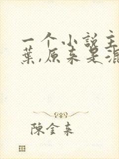 一个小说主角姓叶,原来是混混的