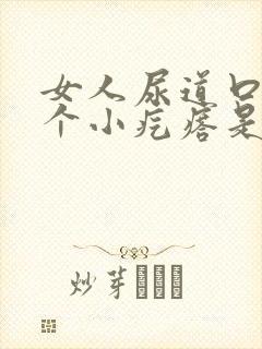 女人尿道口长一个小疙瘩是怎么回事