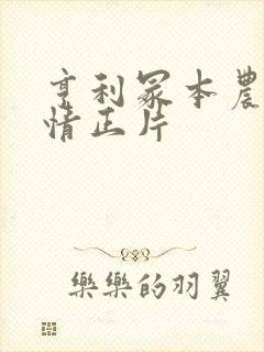 亨利冢本农村剧情正片