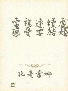 电视连续剧不要恋爱要结婚全集免费观看