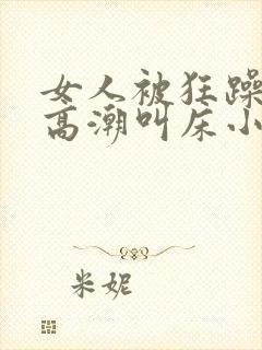 女人被狂躁c到高潮叫床小说