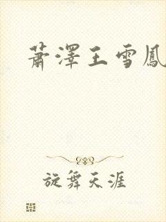 萧泽王雪凤小说