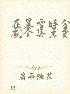 在暴雪时分电视剧全集免费观看