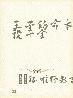 王子的命本是恶役千金