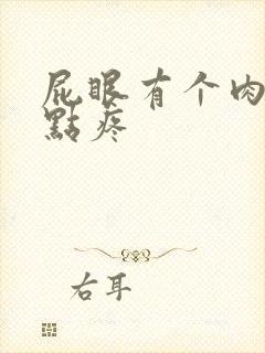 屁眼有个肉球有点疼封面