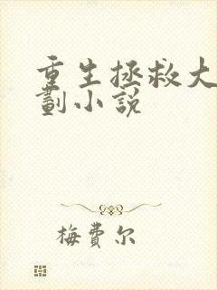 重生拯救大佬计划小说