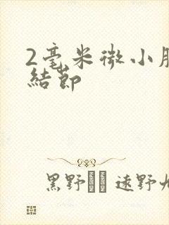 2毫米微小肺有结节