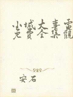 小城大事电视剧免费全集观看32集