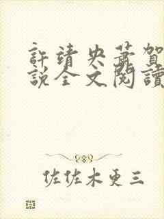 许靖央萧贺夜小说全文阅读最新章节