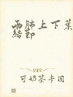 两肺上下叶散在结节