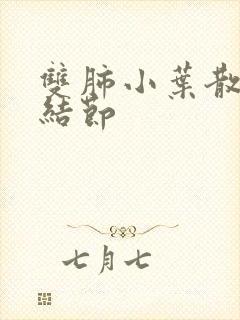 双肺小叶散在小结节封面