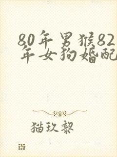 80年男猴82年女狗婚配封面
