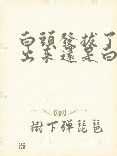 白头发拔了再长出来还是白发吗封面