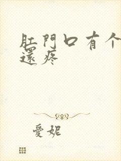 肛门口有个肉球还疼封面