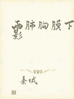 两肺胸膜下条索影