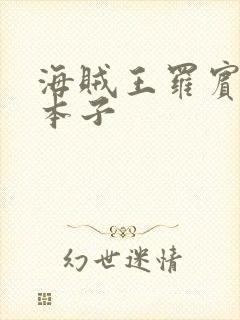 海贼王罗宾乔巴本子