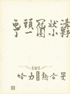 龟头冠状沟处长了一圈小籽封面