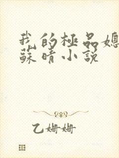 我的极品媳妇儿苏晴小说