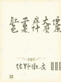 肚子疼大便拉黑色是什么原因