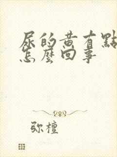 尿的黄有点浑浊怎么回事封面