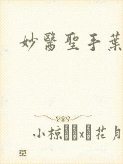 妙医圣手叶浩轩