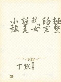 小说我的极品合租美女完整版未删减小说