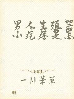 男人生殖器上有小疙瘩是怎么回事