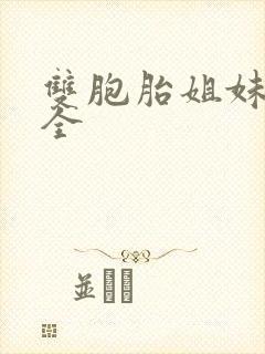 双胞胎姐妹小说全