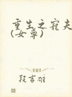 重生之宠夫无度(女尊)