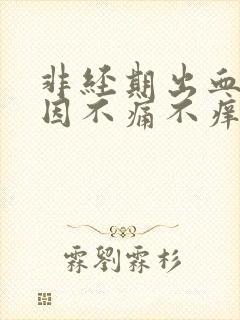 非经期出血的原因不痛不痒封面