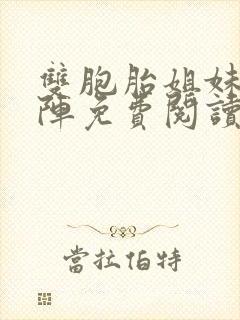 双胞胎姐妹齐上阵免费阅读封面