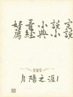 好看小说完结推荐经典小说