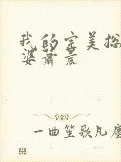 我的完美总裁老婆萧晨封面