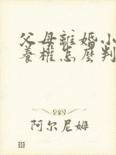 父母离婚小孩抚养权怎么判