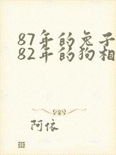 87年的兔子和82年的狗相配吗封面