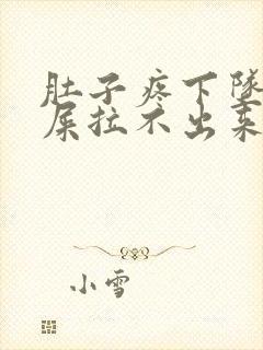 肚子疼下坠想拉屎拉不出来怎么回事