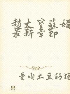 赵大宝苏媚小说最新章节