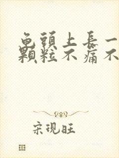 龟头上长一圈小颗粒不痛不痒封面