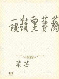 一对白花花的大馒头免费阅读