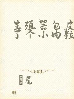 生殖器包皮上长了个小肉粒