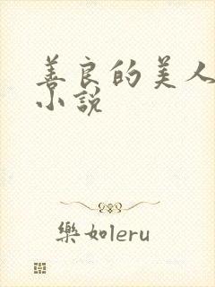 善良的美人妻 小说封面