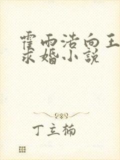 霍雨浩向王秋儿求婚小说