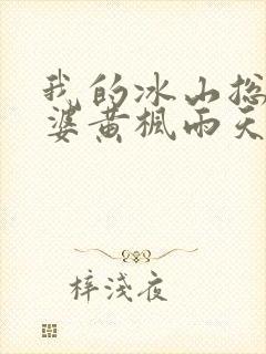 我的冰山总裁老婆黄枫雨天