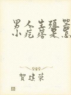 男人生殖器长满小疙瘩是怎么回事