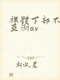 裸体下部不遮挡亚洲av