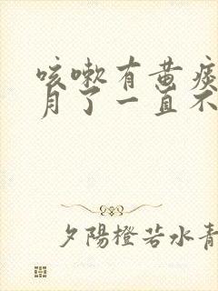 咳嗽有黄痰一个月了一直不好是什么原因封面