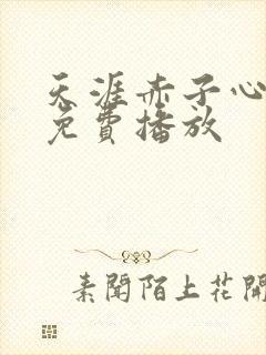 天涯赤子心全集免费播放